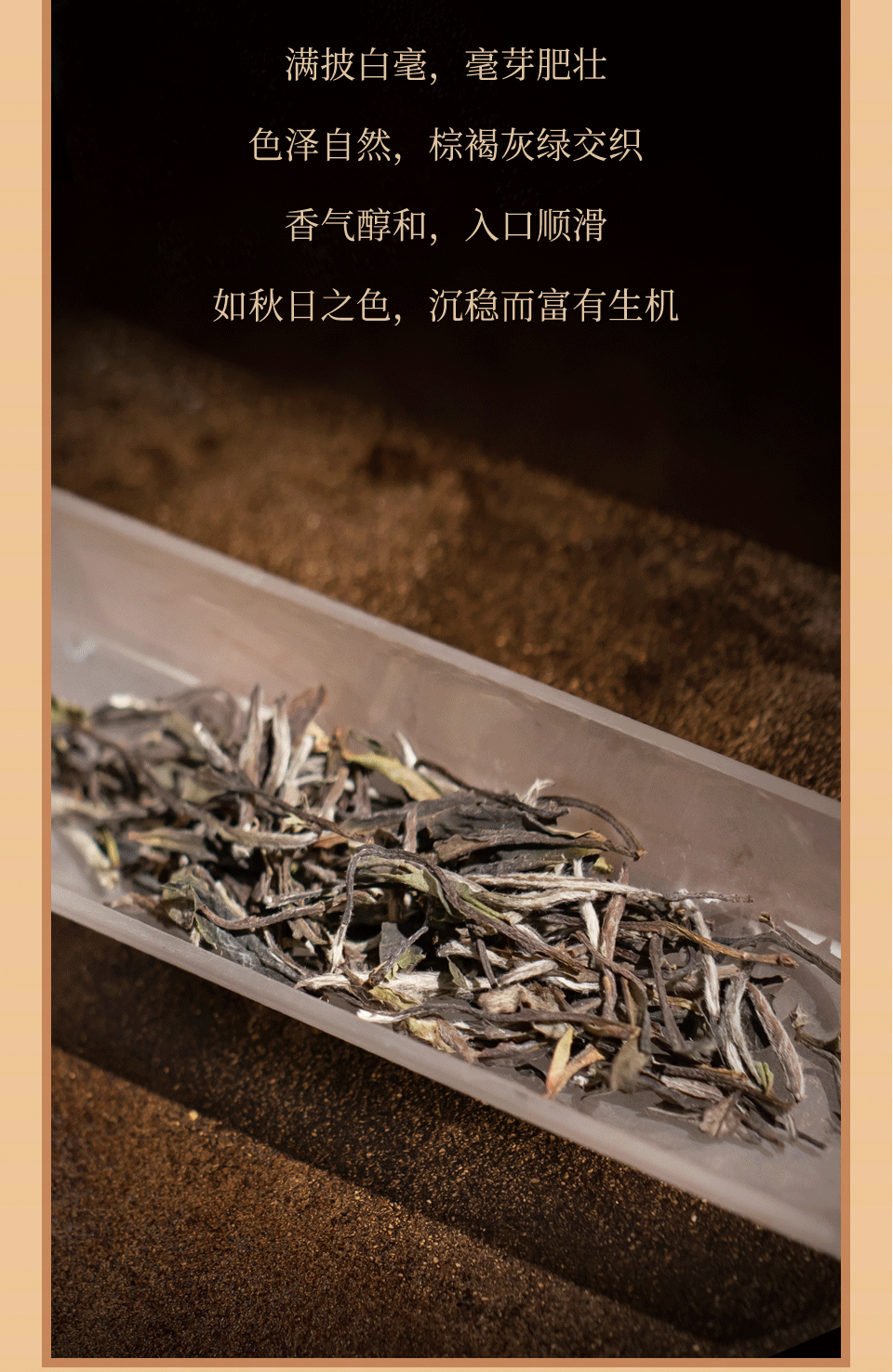 特级白牡丹2.png